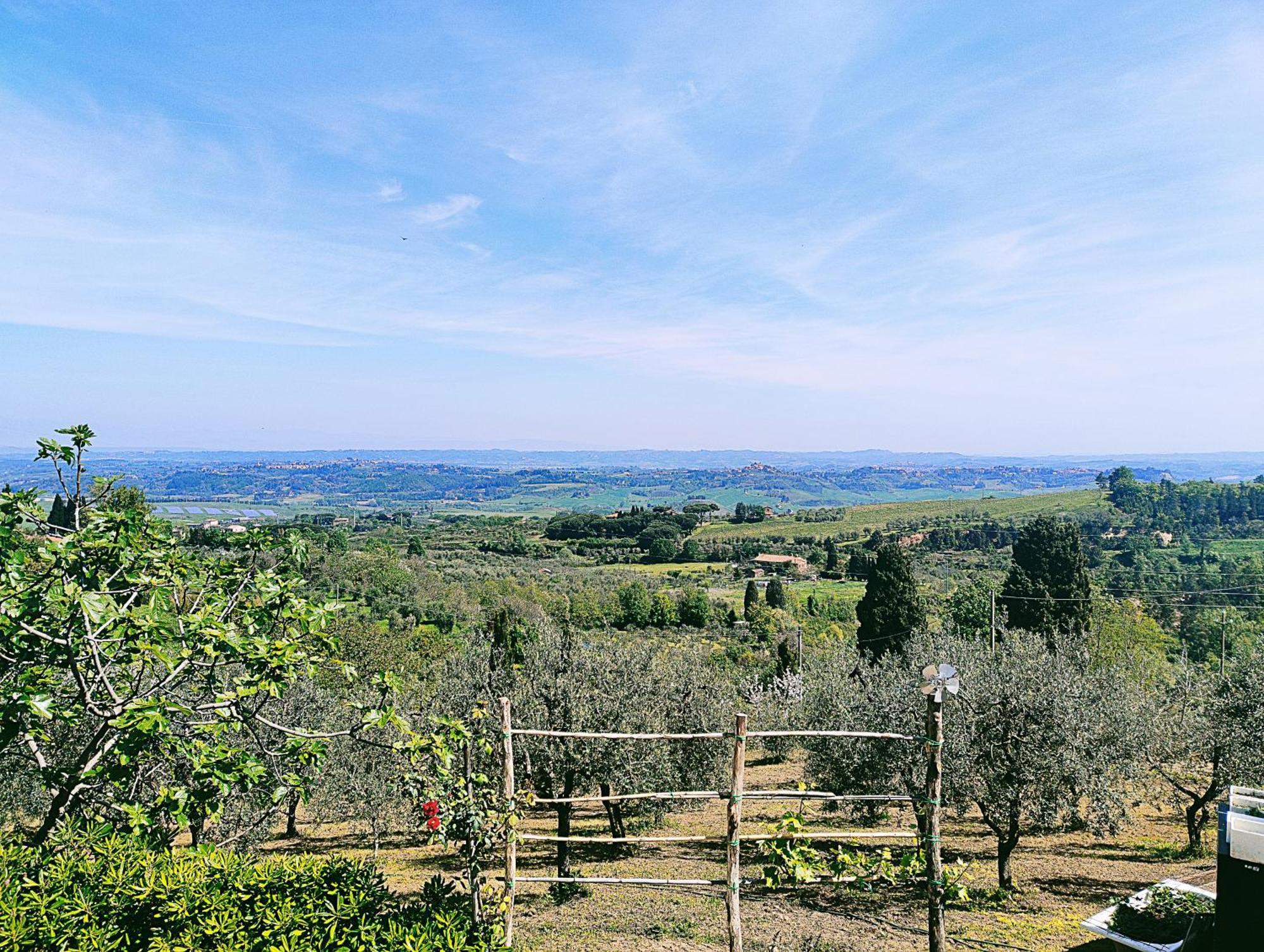La Casina Di Colle - Appartamento Rustico Sulle Colline Di Pisa คาสเชียนา แตร์เม ภายนอก รูปภาพ